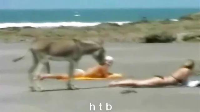 A linda Lilo veio do videos de lésbicas fazendo sexo Havai para chupar e foder