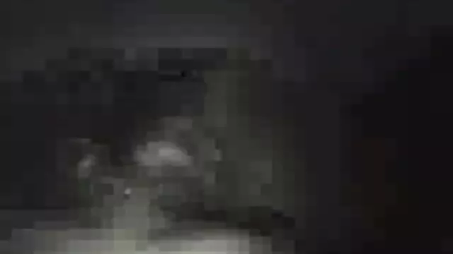 TSVirtualLovers - videos porno das brasileirinhas shemale fodido em VR