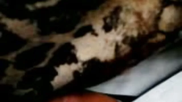 Torrar e comer Fetiche com Axel Abyssse vídeo de pornô hd