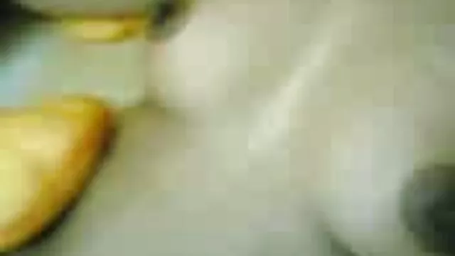 Ele perde a luta algemado com a vídeo de pornô mulher com mulher amante.
